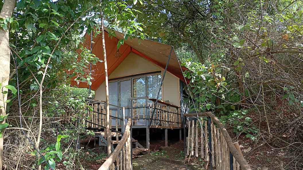 Your Gateway to Nature's Sanctuary
